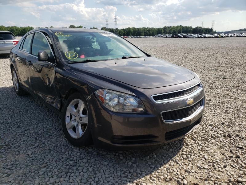 CHEVROLET MALIBU LS 2011 1g1za5eu1bf233343