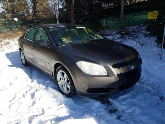 CHEVROLET MALIBU LS 2011 1g1za5eu1bf277083