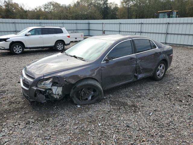 CHEVROLET MALIBU 2011 1g1za5eu1bf286950