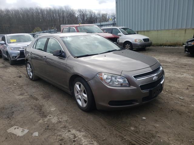 CHEVROLET MALIBU LS 2011 1g1za5eu1bf340232