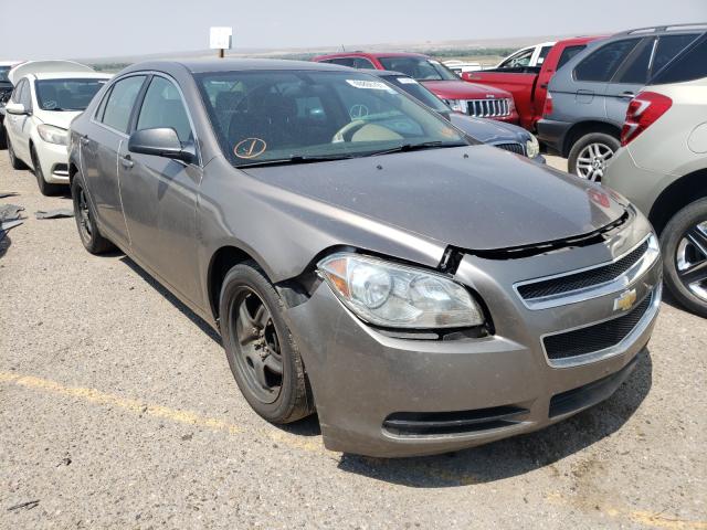 CHEVROLET MALIBU LS 2012 1g1za5eu1cf199700