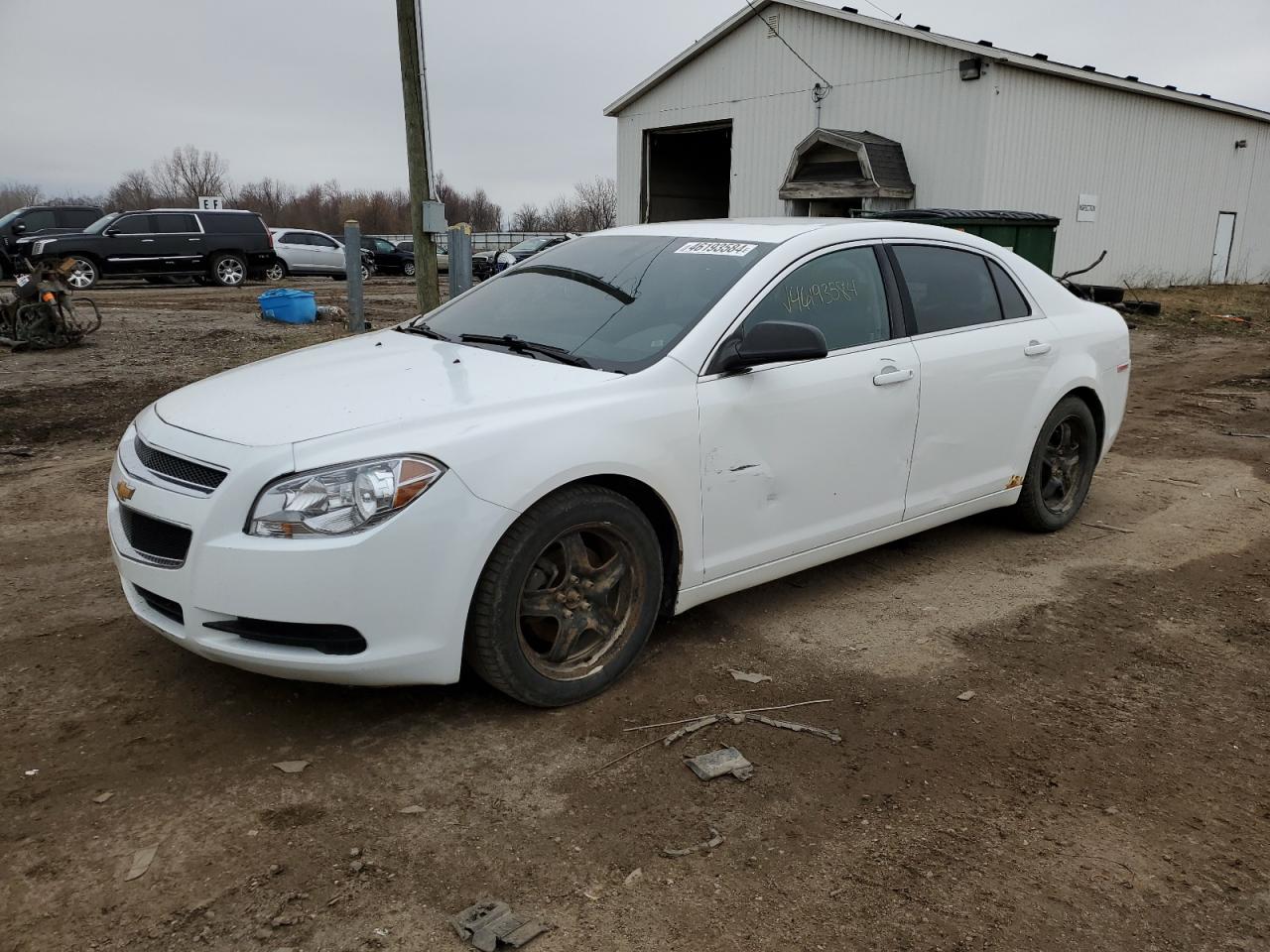 CHEVROLET MALIBU 2012 1g1za5eu1cf363446