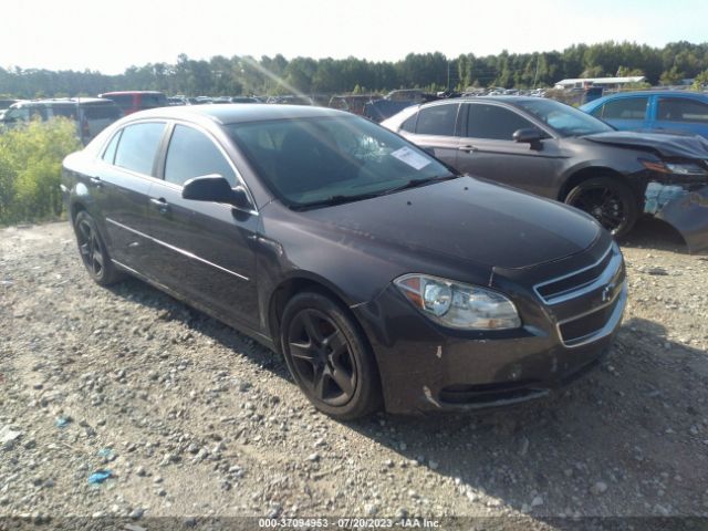 CHEVROLET MALIBU 2012 1g1za5eu1cf387990