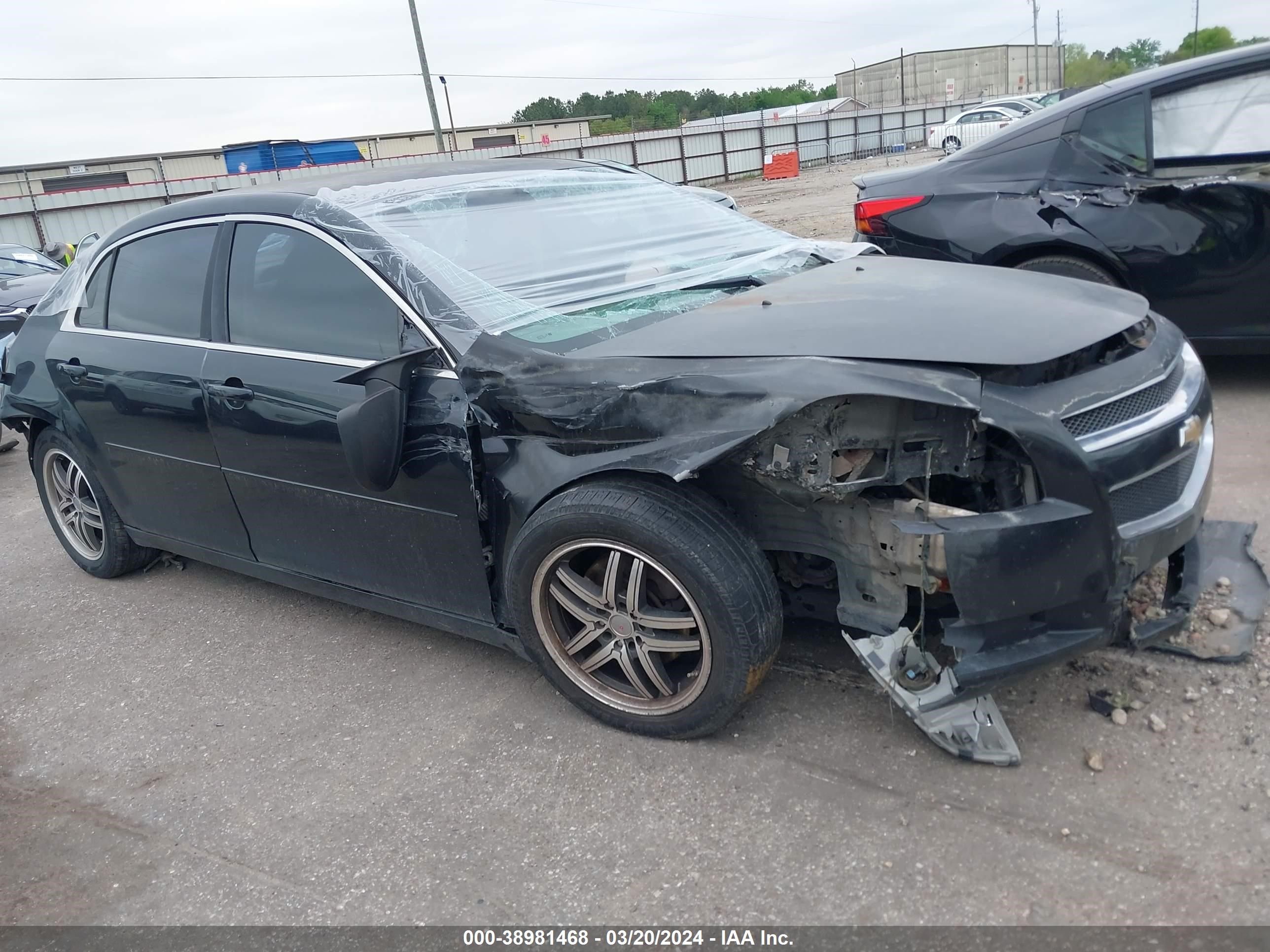 CHEVROLET MALIBU 2012 1g1za5eu1gf320001