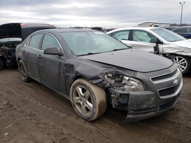 CHEVROLET MALIBU LS 2011 1g1za5eu2bf293163