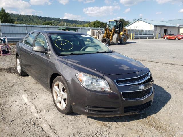 CHEVROLET MALIBU LS 2011 1g1za5eu2bf310334