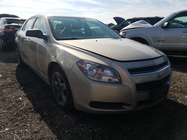 CHEVROLET MALIBU LS 2011 1g1za5eu2bf340501