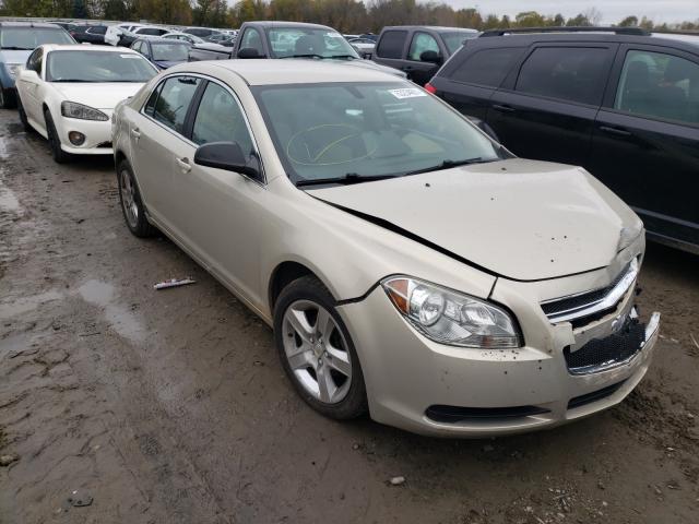 CHEVROLET MALIBU LS 2011 1g1za5eu2bf373109