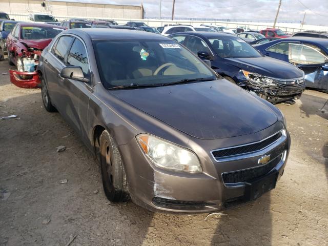 CHEVROLET MALIBU LS 2012 1g1za5eu2cf220652