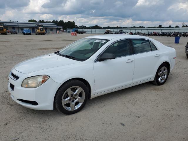 CHEVROLET MALIBU LS 2012 1g1za5eu2cf290667