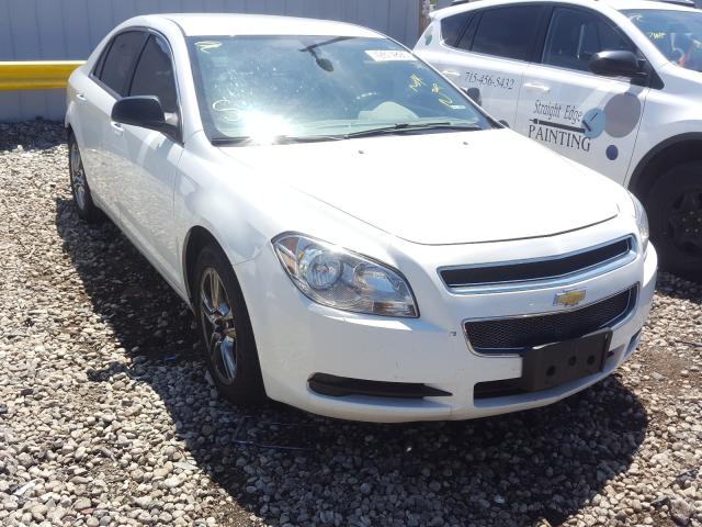 CHEVROLET MALIBU LS 2012 1g1za5eu2cf299787