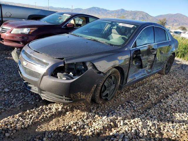 CHEVROLET MALIBU LS 2012 1g1za5eu2cf387593