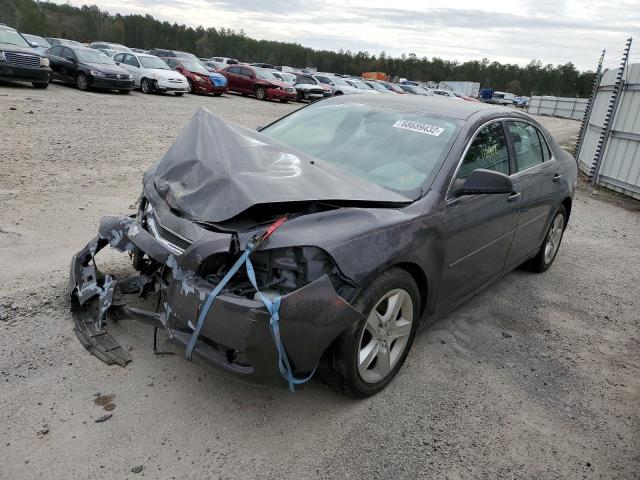 CHEVROLET MALIBU LS 2012 1g1za5eu2cf390073