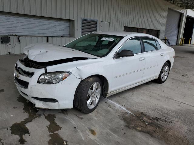 CHEVROLET MALIBU 2012 1g1za5eu2cf394981