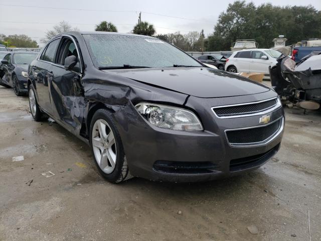 CHEVROLET MALIBU LS 2011 1g1za5eu3bf126343