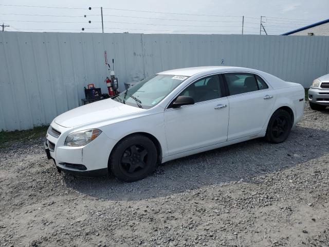 CHEVROLET MALIBU LS 2011 1g1za5eu3bf177955