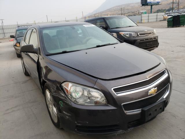 CHEVROLET MALIBU LS 2011 1g1za5eu3bf205981