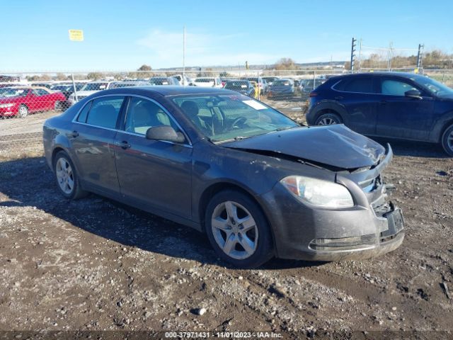 CHEVROLET MALIBU 2011 1g1za5eu3bf207309