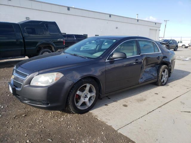 CHEVROLET MALIBU LS 2011 1g1za5eu3bf299571