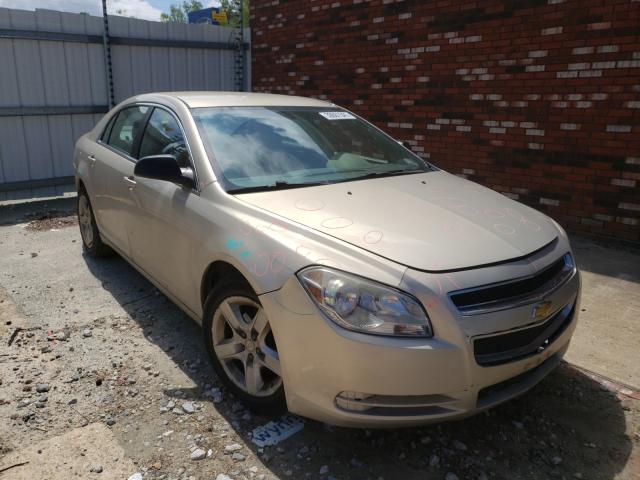 CHEVROLET MALIBU LS 2011 1g1za5eu3bf319611