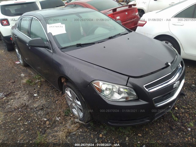 CHEVROLET MALIBU 2011 1g1za5eu3bf334755