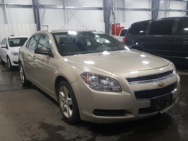 CHEVROLET MALIBU LS 2011 1g1za5eu3bf346730