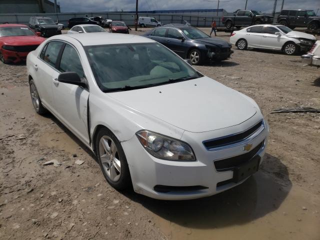 CHEVROLET MALIBU LS 2011 1g1za5eu3bf374396