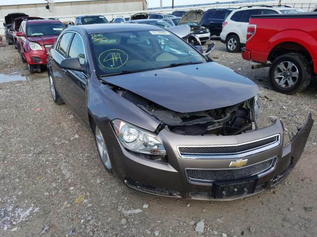 CHEVROLET MALIBU LS 2012 1g1za5eu3cf212706