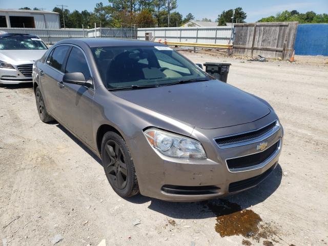 CHEVROLET MALIBU LS 2012 1g1za5eu3cf219137