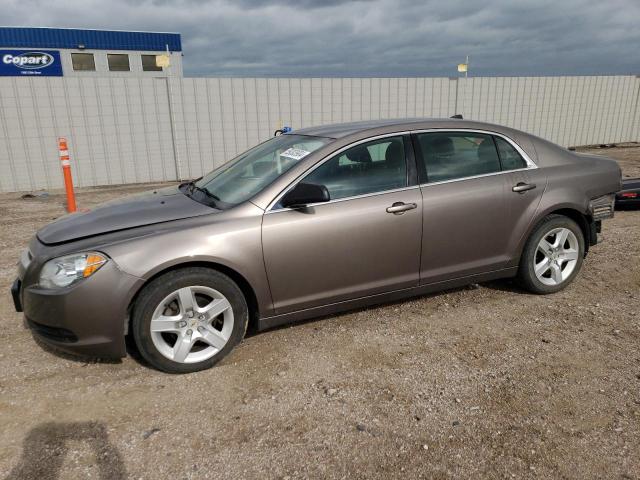 CHEVROLET MALIBU 2012 1g1za5eu3cf219395