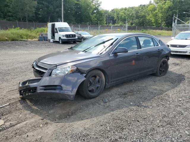 CHEVROLET MALIBU 2012 1g1za5eu3cf369216