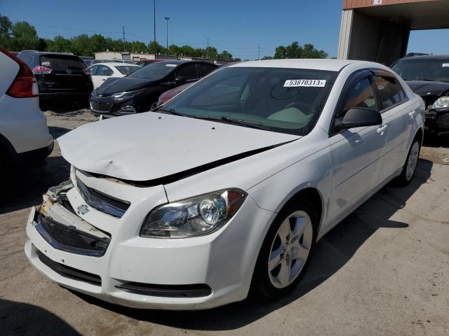 CHEVROLET MALIBU LS 2012 1g1za5eu3cf389448