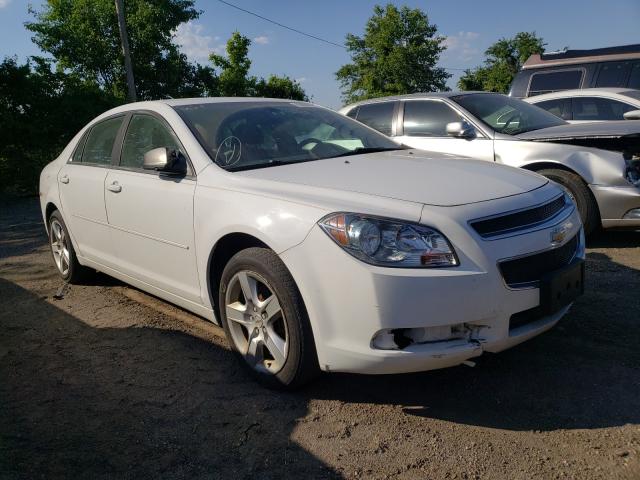 CHEVROLET MALIBU LS 2012 1g1za5eu3cf398716