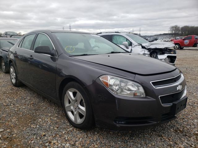 CHEVROLET MALIBU LS 2011 1g1za5eu4bf137674