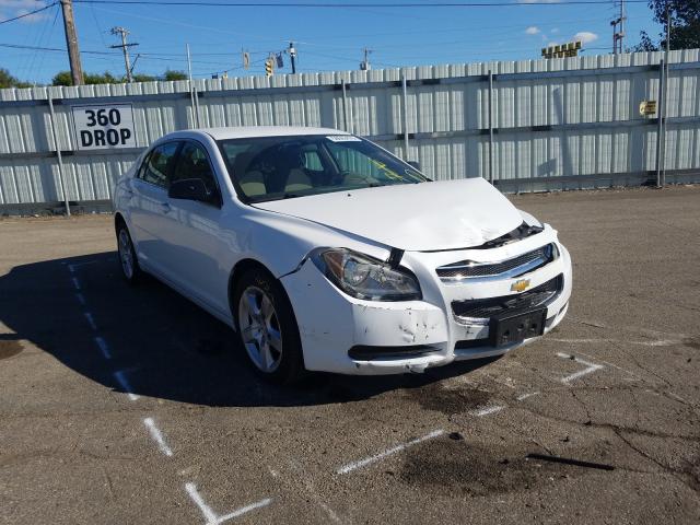 CHEVROLET MALIBU LS 2011 1g1za5eu4bf151347