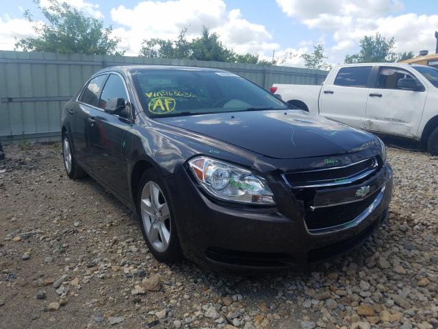 CHEVROLET MALIBU LS 2011 1g1za5eu4bf165636