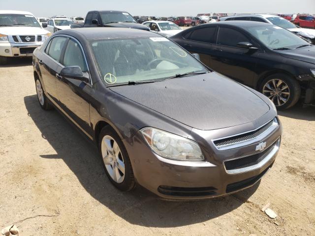 CHEVROLET MALIBU LS 2011 1g1za5eu4bf195655