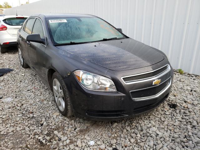 CHEVROLET MALIBU LS 2011 1g1za5eu4bf239685