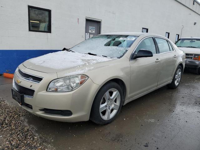 CHEVROLET MALIBU LS 2011 1g1za5eu4bf285677