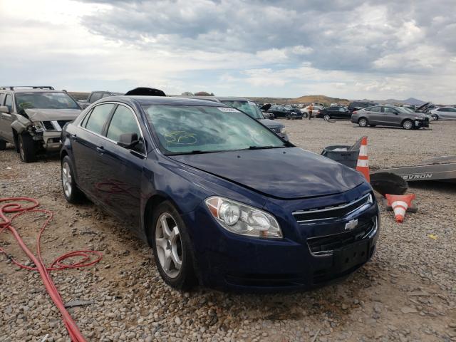 CHEVROLET MALIBU LS 2011 1g1za5eu4bf371491