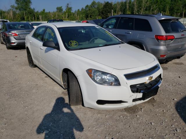 CHEVROLET MALIBU LS 2012 1g1za5eu4cf301152