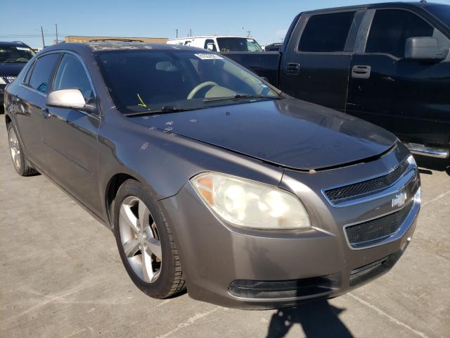 CHEVROLET MALIBU LS 2011 1g1za5eu5bf135447