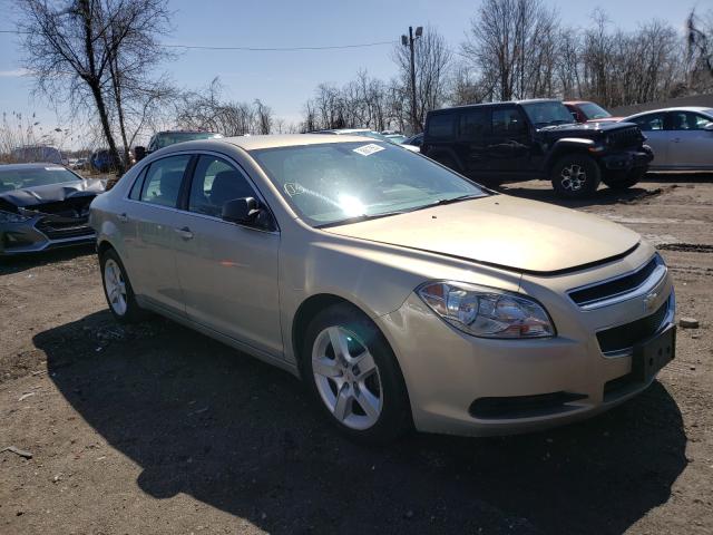 CHEVROLET MALIBU LS 2011 1g1za5eu5bf144598