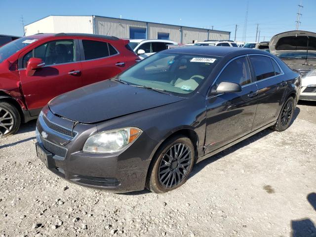 CHEVROLET MALIBU LS 2011 1g1za5eu5bf163717