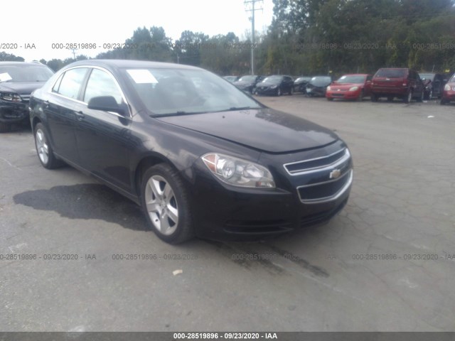 CHEVROLET MALIBU 2011 1g1za5eu5bf177990