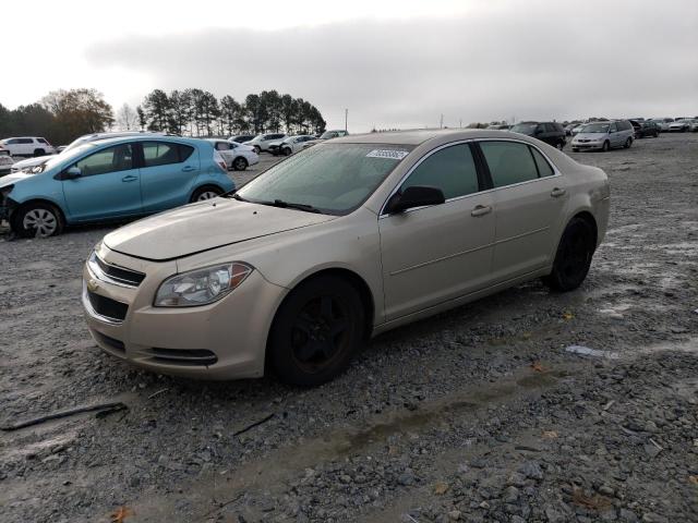 CHEVROLET MALIBU LS 2011 1g1za5eu5bf195258