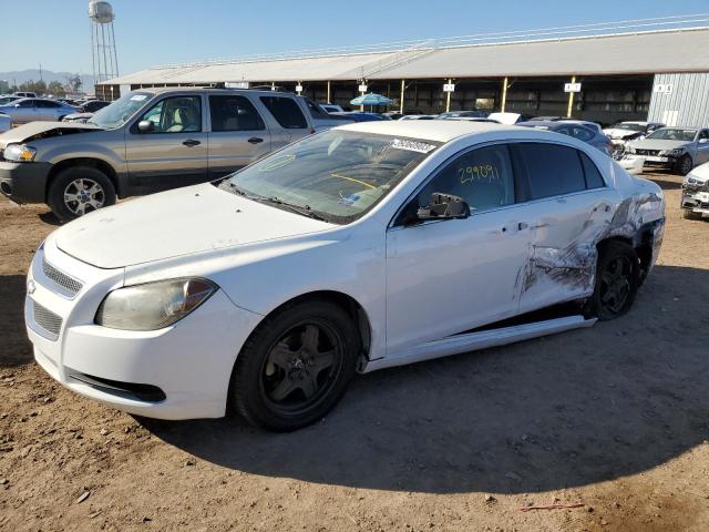 CHEVROLET MALIBU LS 2011 1g1za5eu5bf234561