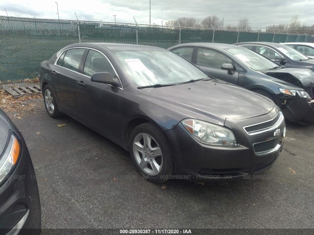 CHEVROLET MALIBU 2011 1g1za5eu5bf239503