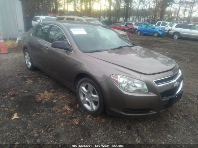 CHEVROLET MALIBU 2011 1g1za5eu5bf247195