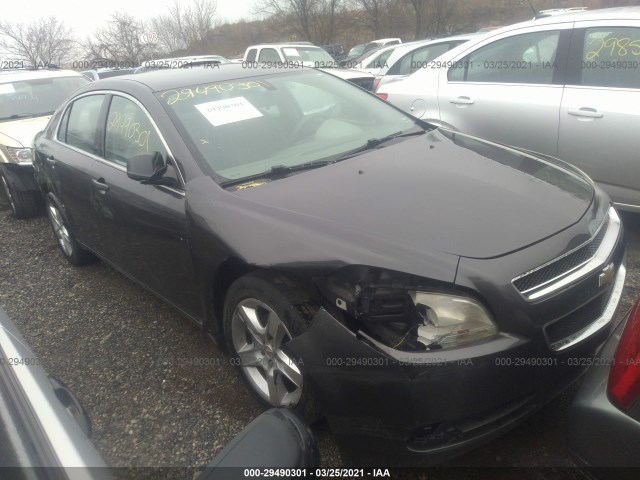 CHEVROLET MALIBU 2011 1g1za5eu5bf299555